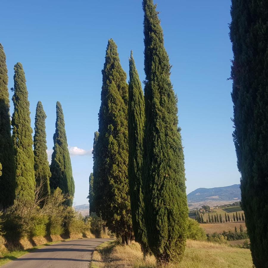 Dimora In San Quirico D'Orcia Apartment ภายนอก รูปภาพ