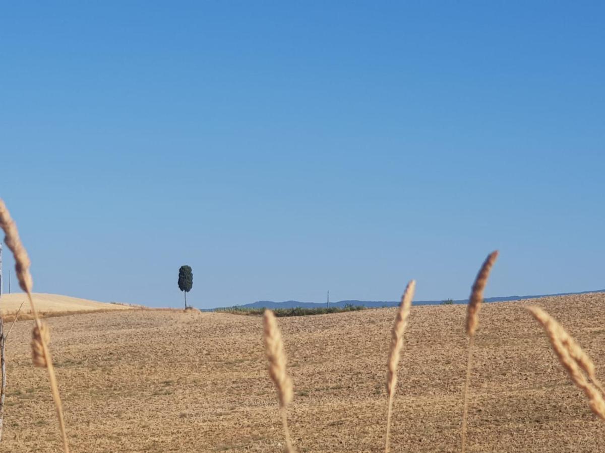 Dimora In San Quirico D'Orcia Apartment ภายนอก รูปภาพ