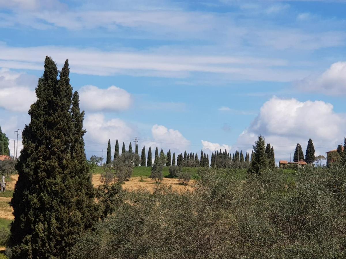 Dimora In San Quirico D'Orcia Apartment ภายนอก รูปภาพ