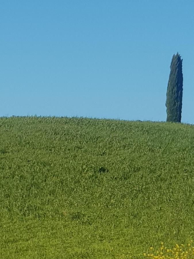 Dimora In San Quirico D'Orcia Apartment ภายนอก รูปภาพ