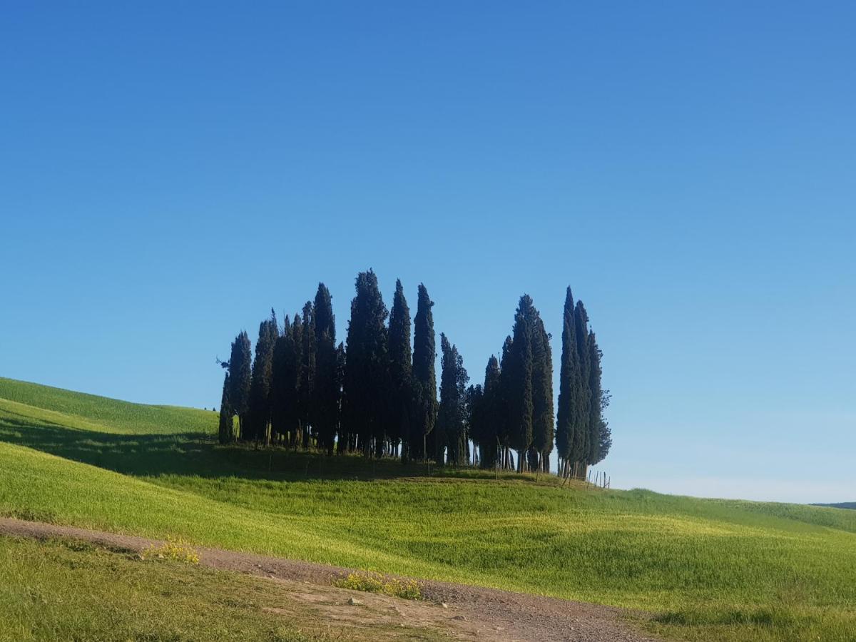 Dimora In San Quirico D'Orcia Apartment ภายนอก รูปภาพ