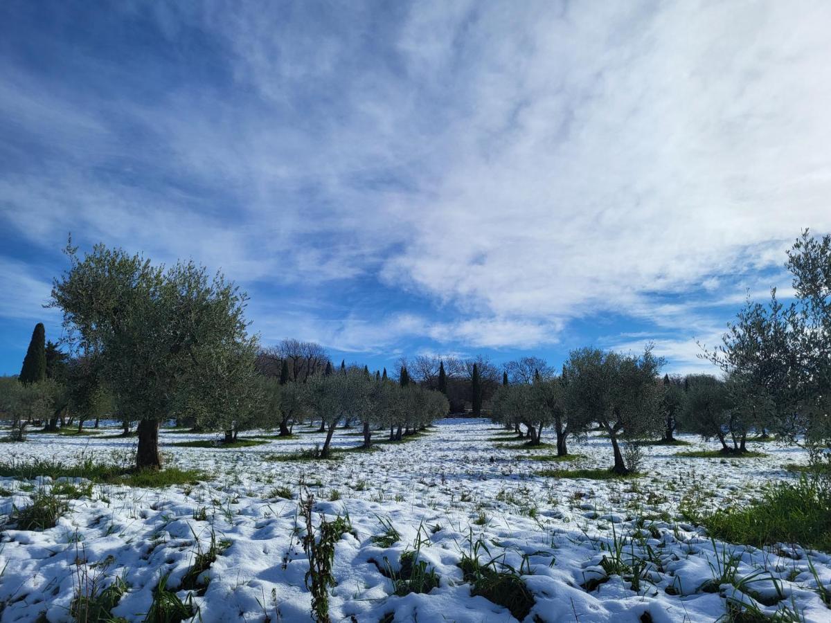 Dimora In San Quirico D'Orcia Apartment ภายนอก รูปภาพ